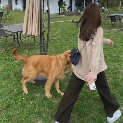 青春谎言之旅