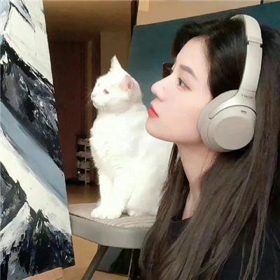全职高手特别篇